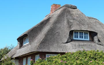 thatch roofing Dalvanie, Angus